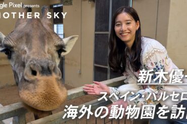 【地上波未公開】新木優子が海外の動物園を訪問 IN スペイン・バルセロナ