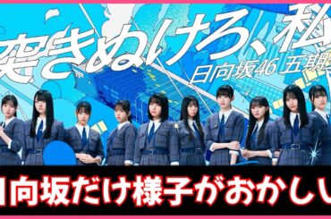新参者ライブ情報解禁でおひさまに試練か？！【日向坂４６】