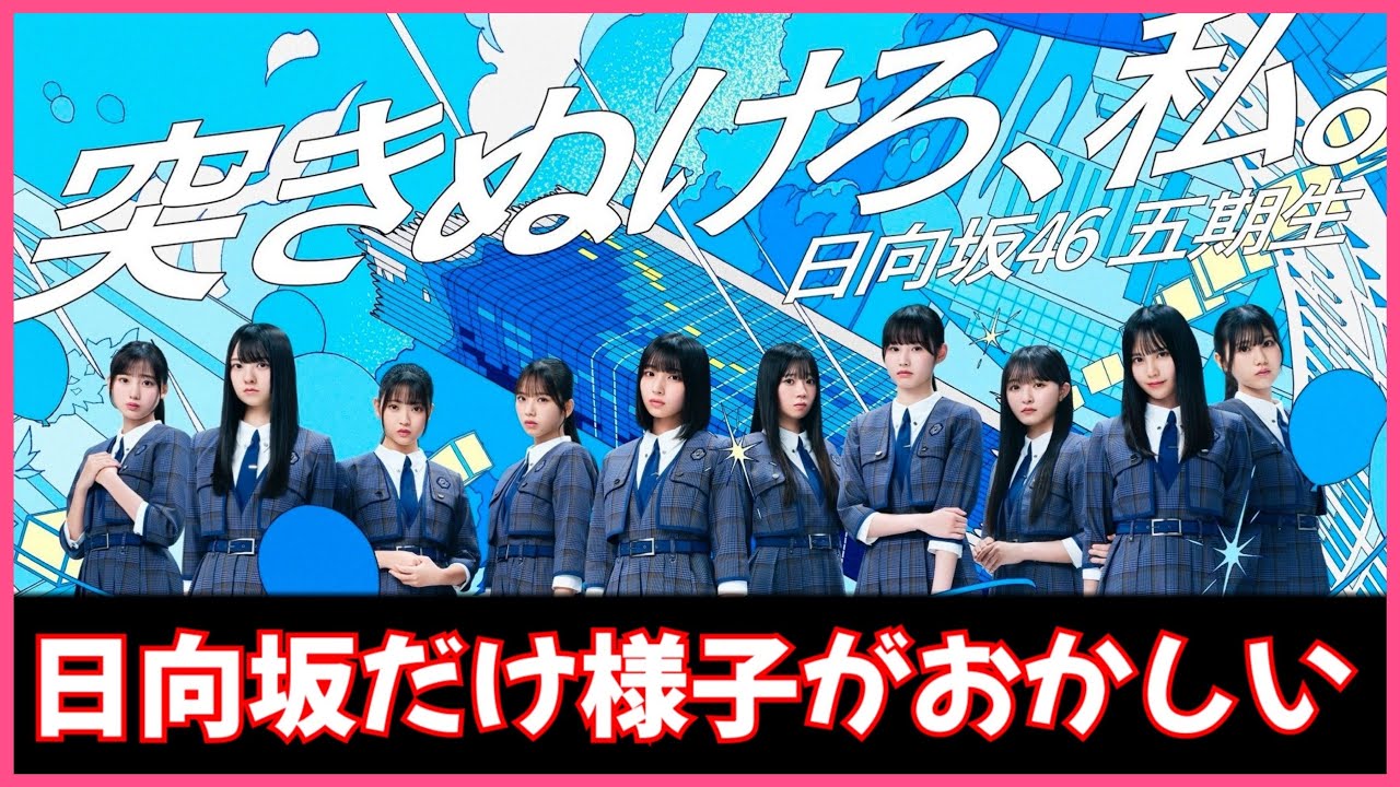 新参者ライブ情報解禁でおひさまに試練か?!【日向坂46】 新参者ライブ情報解禁でおひさまに試練か?!【日向坂46】