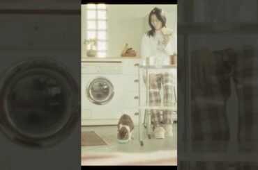 #前島亜美 「不器用に 君のとなり」#不器用な先輩 EDテーマ #不器用に君のとなり