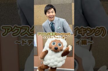 【ドデ祭】【ドデスカ＋・ウルフィ編】アクスタ撮影メイキング映像を公開💚