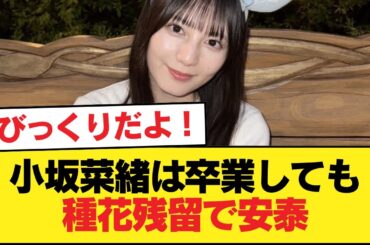 おひさま『小坂菜緒は卒業しても種花残留で安泰』←これ【日向坂46HOUSE】#日向坂46 #日向坂 #日向坂で会いましょう #乃木坂46 #櫻坂46