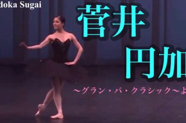 バレエの常識を変える！？菅井円加さんによるグランパクラシックを徹底解説！#ballet #バレエ