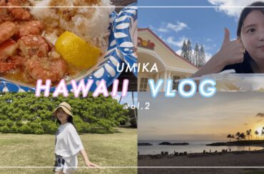【ハワイvlog】最後の最後まで楽しみ尽くす😎ドライブして自然を感じて幸せな旅🤍