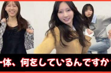 なにやら様子のおかしい(通常運転)四期生の皆様。【日向坂４６】