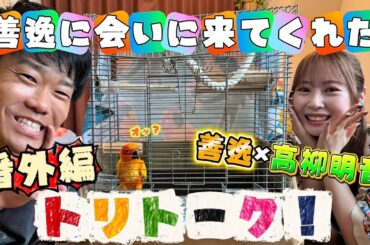 トリトークvol.2.5 女優 高柳明音が善逸に会いに来てくれた🏠🦜