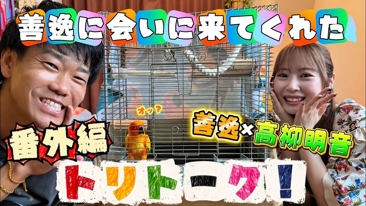 トリトークvol.2.5 女優 高柳明音が善逸に会いに来てくれた🏠🦜 トリトークvol.2.5 女優 高柳明音が善逸に会いに来てくれた🏠🦜