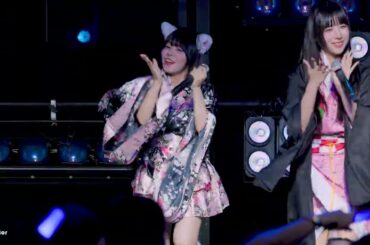 250928 리스타 코토리 - X ROCK + ゼッタイ最強宣言！ + Neverlog + Qp 『絶対バン!! Vol.17 여름축제 특집』 직캠