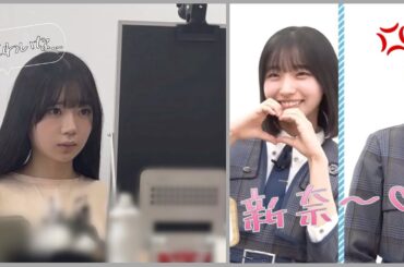 #オフィスにぃたん が大流行中。困り眉の坂井新奈がミーム化してしまう【日向坂４６】