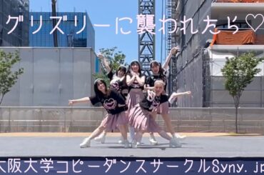グリズリーに襲われたら♡/神宿　【大阪大学コピーダンスサークルSyny.jpd】