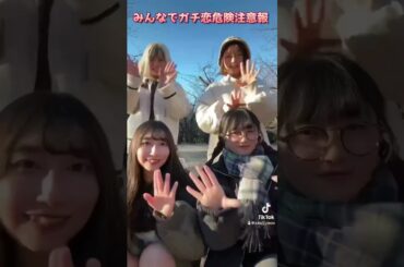 【ガチ恋危険注意報】ひまさくメンバーがtiktokで流行らせたいガチ恋を踊ってみた #アイドル #ひまわりが咲く頃に #だあちゃ #いるか #いか #らっこ #森サークル #shorts