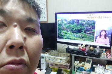 ｺﾑﾗｼｹﾞﾕｷ＼宇賀神ﾒｸﾞ＼ﾊﾝﾃﾞｨﾌｧﾝ＼