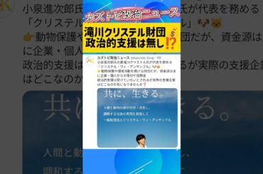 【注目】滝川クリステル氏が代表を務める「クリステル・ヴィ・アンサンブル」🐶🐱動物保護や環境活動を掲げる財団だが、資金源は主に企業・個人からの寄付や協賛金。