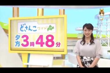 🆕㊙️video😱 出演 大家彩香 村雨美紀 竹井愛乃 ゲスト2名