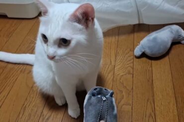 ちゅちゅまるとアッシュくんとさとるくん