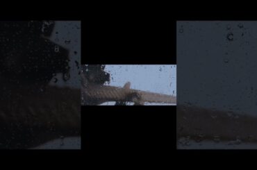 「Climber’s High」沼倉愛美