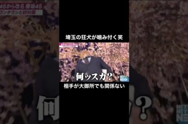 桂三枝みたいな転け方好き笑 #欅坂46 #小林由依 #埼玉 #狂犬 #ダウンタウン #桂三枝 #コケる #噛み付く #なんすか