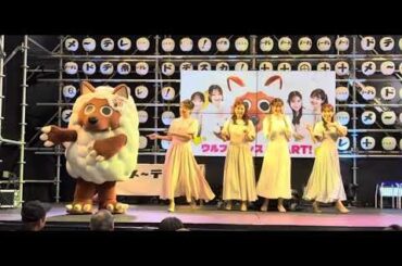 メーテレドデ祭り2025 ウルフィーダンス