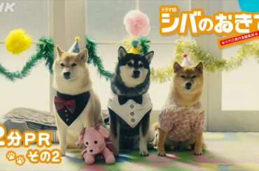 【ドラマ10 シバのおきて】2分PR その2 大東駿介 飯豊まりえ 後半の見どころを2分で紹介！| ドラマ10 | NHK