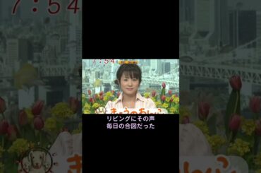【2004年】高島彩。あの朝、テレビはもっと明るかった。