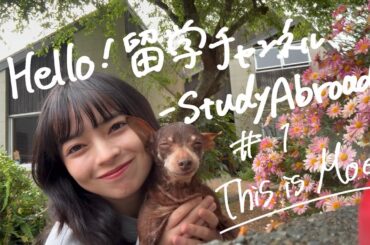 【Moe】This is Moe🌼I'm in NewZealand🇳🇿 #1