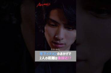 年下イケメンが取った大胆な行動で急接近…💓◤ドラマ🐯 #𝗔𝗡𝗜𝗠𝗔𝗟𝗦 - #アニマルズ -💄◢ 最高の自分に生まれ変わる"大逆転"ラブストーリー  #恋愛 #shorts