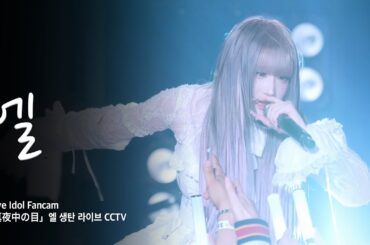 엘 |  2025 L Birthday Live 真夜中の目 | 웨스트브릿지 | 251019 | 4K Vertical Full Cam