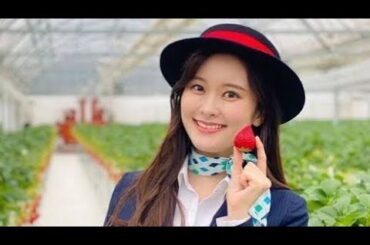 「探偵ナイトスクープ」秘書〝激レア〟ミニスカ姿に「これは刺激的過ぎる」「大胆な姿大丈夫？」「お綺麗です♡」ファン歓喜の声