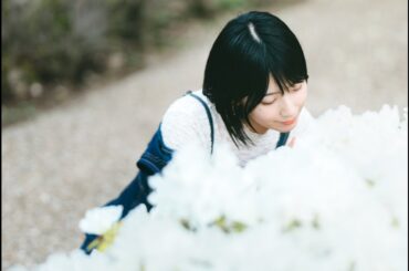 カメラと照明を新調しました