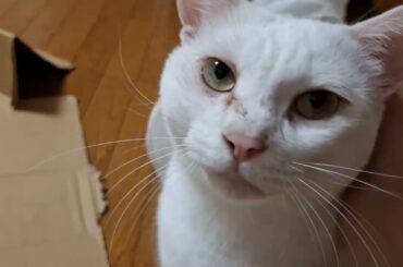 甘え上手なさとるくん