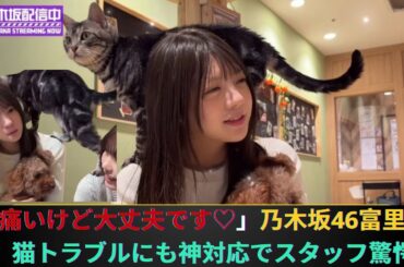 「痛いけど大丈夫です♡」乃木坂46富里奈央、猫トラブルにも神対応でスタッフ驚愕！