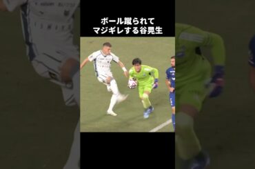 ボール蹴られてキレる谷晃生 #shorts #町田ゼルビア #jリーグ #サッカー