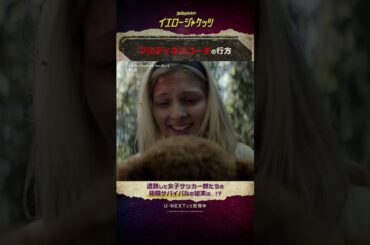 【コーチの行方】 #イエロージャケッツ シーズン２まで配信中（シーズン３は11/7配信）#小林ゆう #八代拓 #島田愛野 #折井あゆみ