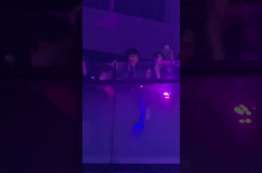 早見優、Night Tempo渋谷WOMBでDJプレイで自らの代表曲「夏色のナンシー」がかかったことに2階席で反応。松本伊代、新井ひとみ（東京女子流）の姿も。