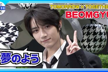 【T×T ボムギュ】ピクニックに行ったら「最近忙しいから公園で休みたい」