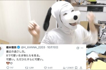 橋本環奈さん、こんにちワン☆