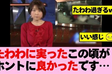 毎日楽しみでした！