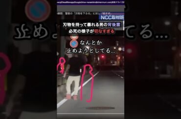 必死に犯罪を止めようとしている幽霊が切ない