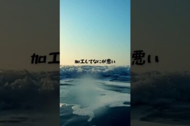 4200万再生超！モノクローン『加工してなにが悪い！』がSNS世代のアンセムすぎた#加工してなにが悪い #モノクローン #共感ソング #Z世代アンセム #TikTokでバズった曲