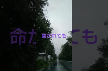 命かれても✨藤圭子