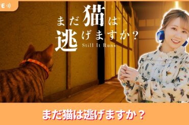 夏川椎菜のずっと『まだ猫は逃げますか？』してるだけ【2025.10.31】