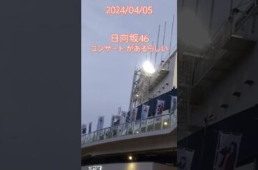 日向坂46 コンサートがあるらしい