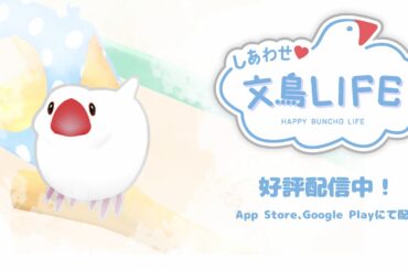 POYOLAND、かわいい文鳥を育てる『しあわせ文鳥LIFE』を本日配信！着せ替えや模様替え、文鳥のアイドル活動も楽しめる | gamebiz