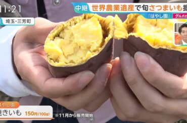 【画像】今日の御手洗菜々さん 10.23