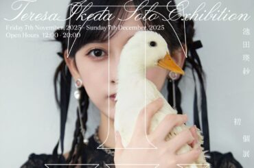 乃木坂46・池田瑛紗、初個展『Wings:あひるの夢』