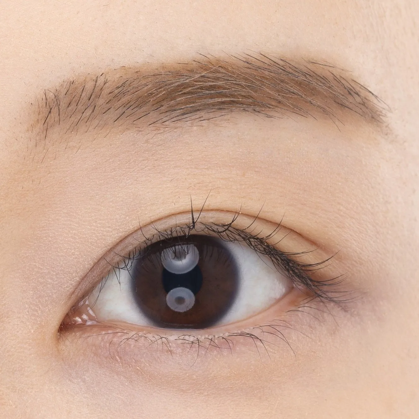 人間の目のクローズアップ。焦げ茶色の虹彩、まつげ、眉毛が特徴です。