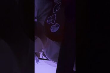 お茶碗 / 大森靖子 カバー #弾き語り