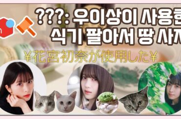 하스노소라 대삼각의 고양이 카페 #佐々木琴子 #花宮初奈 #月音こな