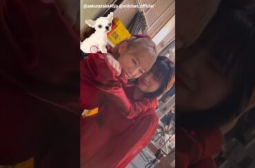 小池美波『イ』『ン』『ス』『タ』3月20日卒業セレモニー