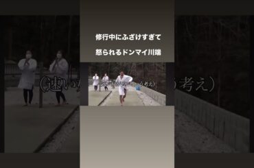 滝行修行で怒られるドンマイ川端#shorts #ドンマイ川端#柔道#格闘技#おすすめにのりたい